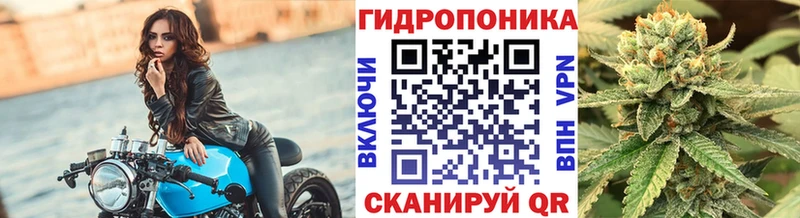 Метадон Тогучин